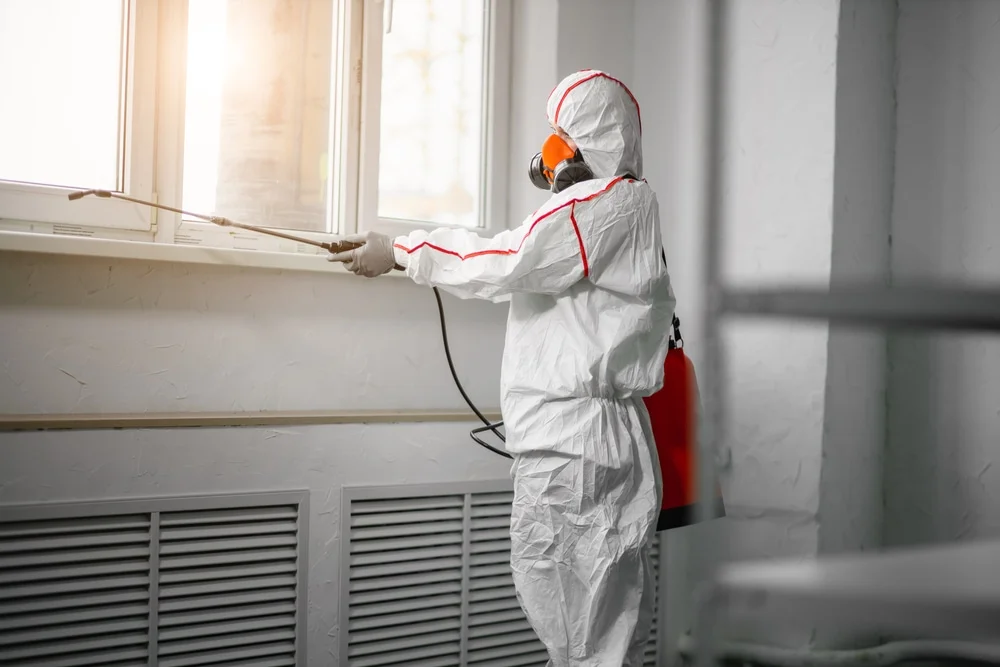 Professional mold remediation services in Orrville, OH